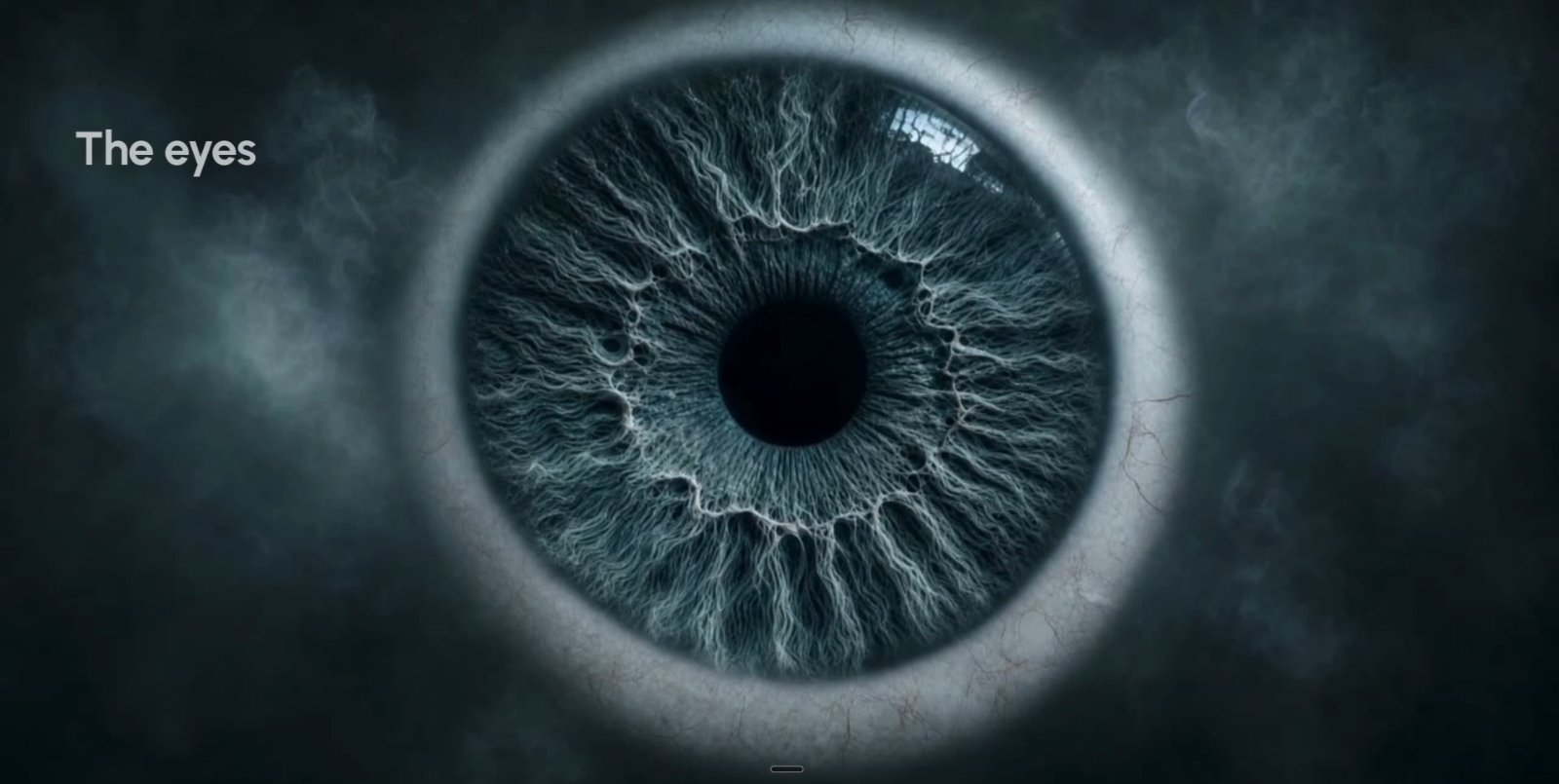 Eyes Are Mirror