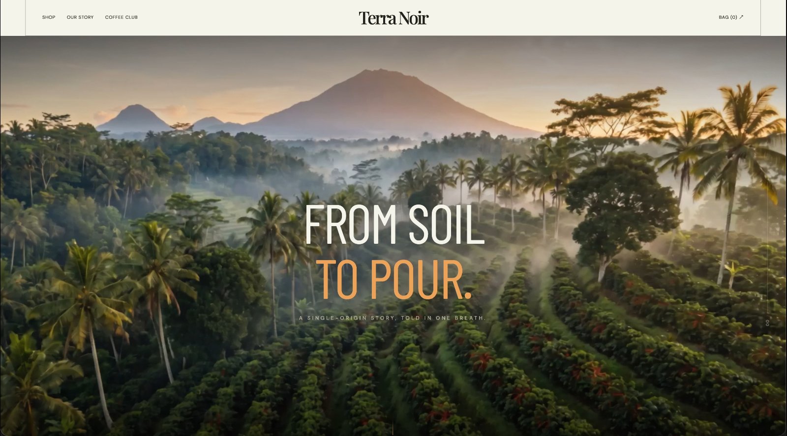 Terra Noir